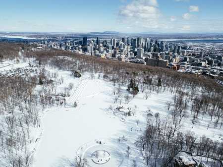 View of the skating rink and downtown in winter from Mont Royal, Montreal. Quebec, Canadaの写真素材