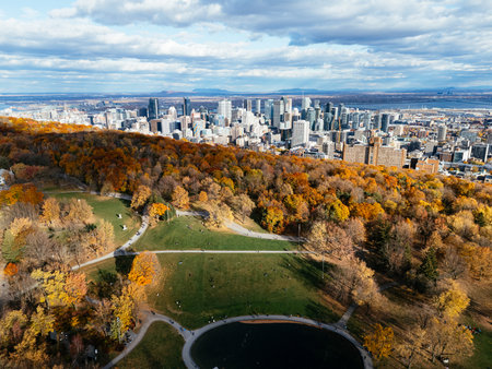 Aerial view of Montreal in autumn from the Mont Royal mountain, skyline, and fall foliage. g.の写真素材