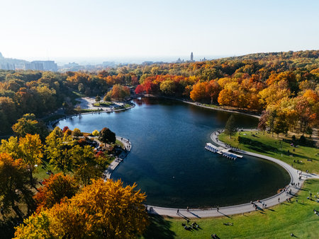 Aerial view of autumn forest and Beaver lake at Mount Royal in Montreal, vivid fall colors over water and trees. g.