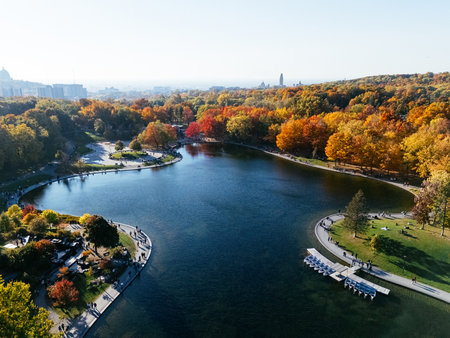 Aerial view of autumn forest and Beaver lake at Mount Royal in Montreal, vivid fall colors over water and trees. g.の写真素材