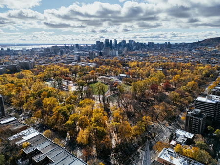 Aerial view of downtown Montreal and autumn trees in park under cloudy sky. g.の写真素材