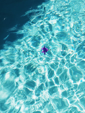 Purple flower floating on clear turquoise pool water with bright sun reflections. g.の写真素材