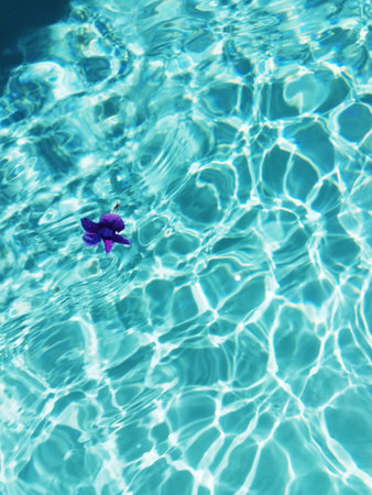 Purple flower floating on clear turquoise pool water with bright sun reflections. g.の写真素材