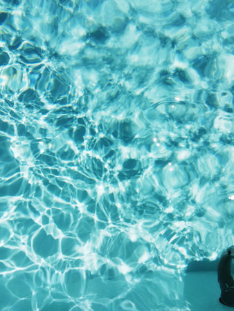 Purple flower floating on clear turquoise pool water with bright sun reflections.の写真素材
