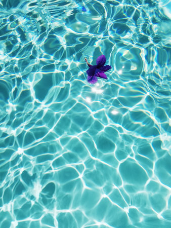 Purple flower floating on clear turquoise pool water with bright sun reflections. g.の写真素材