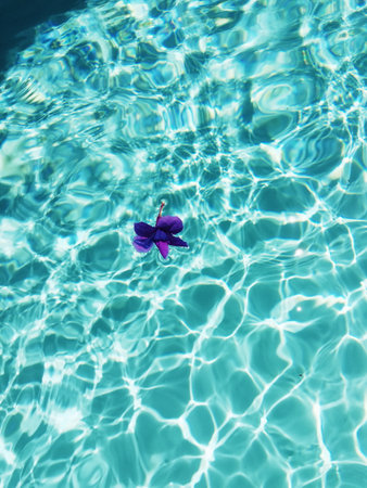 Purple flower floating on clear turquoise pool water.の写真素材
