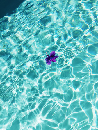 Purple flower floating on clear turquoise pool water with bright sun reflections. g.の写真素材