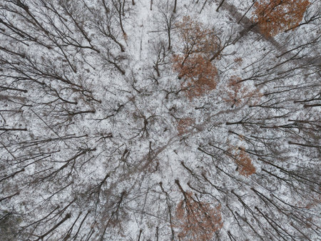 Aerial winter view of Montreal suburbs, snowy angrignon park and river near Lachine and Verdun under cloudy sky.の写真素材