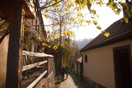 Hluboka Castle in Czechia framed by soft foreground greenery under clear blue sky on a sunny day. g.の写真素材