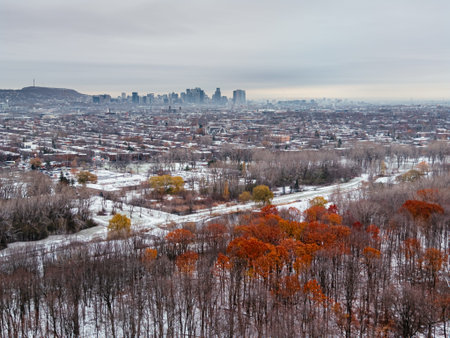 Aerial winter view of Montreal suburbs, snowy angrignon park and river near Lachine and Verdun under cloudy sky. g.の写真素材