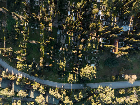 Drone view of the cemetery. Buyukada Island at Marmara sea. Prince Islands, Istambul, Turkeyの写真素材