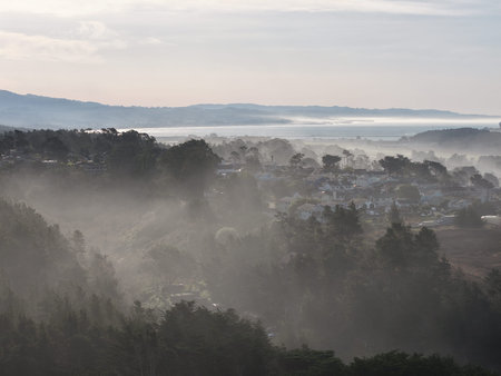 Misty Pacific coastline with waves, forested cliffs and coastal road with construction vehicles and...