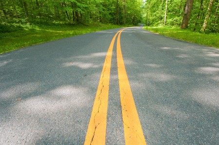 Beautiful scenic country road curves through Great Smoky Mountain National Park.