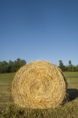 Hay Bale Rollの写真素材
