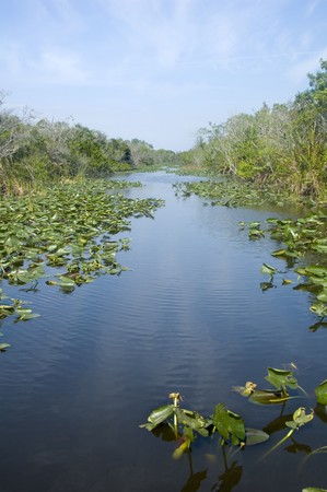 Everglades National Parkの写真素材