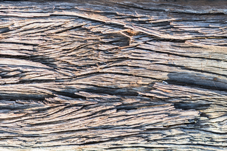 Old wood cracked textureの写真素材