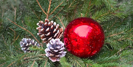 Christmas ornaments. Decorations in red and whiteの写真素材