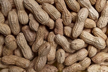 Roasted peanuts texture background.の写真素材