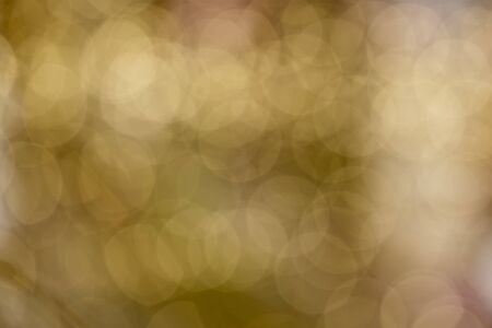 Abstact bokeh background. Horizontal image.の写真素材