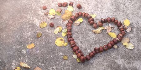 Chestnut love heart flat lay with yellow leaf.の写真素材