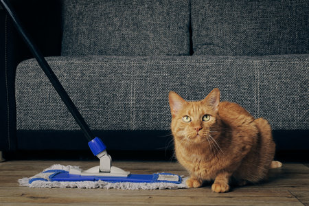 Cute ginger cat sitting next to the mop for cleaning the floor. and looking curiously at camera.