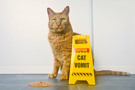 Cute orange cat sitting next to a cat Vomit Caution Sign on the Floor.