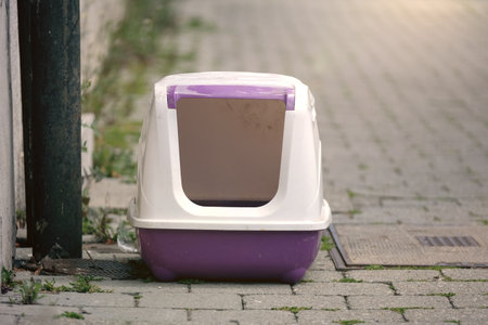Discarded cat litter box on the roadside. Horizontal image with copy space.の写真素材