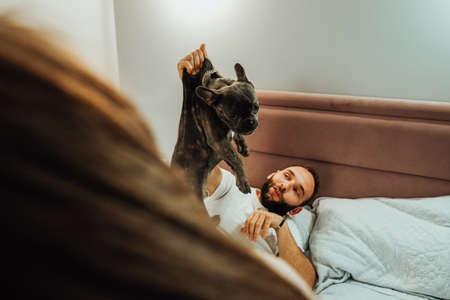 Man Holding His Dog by Skin, French Bulldog Looking so Pitifully After He Bite Human at Homeの写真素材
