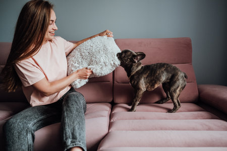 French Bulldog Biting Pillow on the Pink Sofa at Home While Cheerful Woman Trying to Protect Herの写真素材