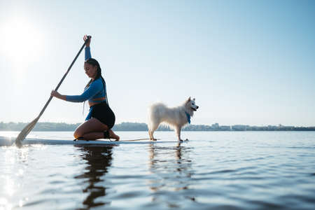 Woman Paddleboarding on the City Lake at Early Morning with Her Dog Japanese Spitz Sitting on the Sup Boardの写真素材