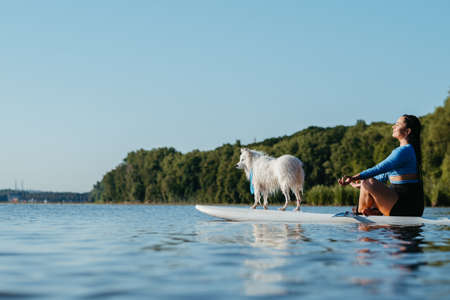 Young Woman Meditating on the City Lake While Sitting on the Sup Board with Her Dog Japanese Spitzの写真素材