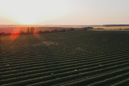 Aerial shot of a scenic sunset over horizon with beautiful fieldsの写真素材