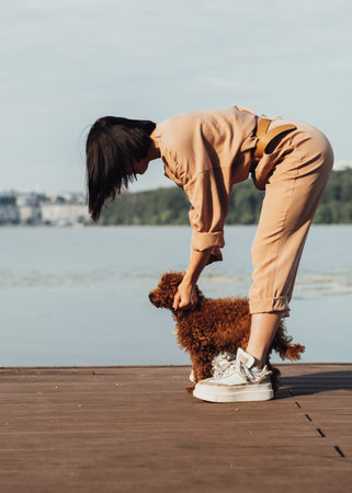 Redhead dog breed toy poodle walking with woman outdoors, female owner of little four paws petの写真素材