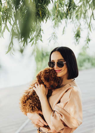 Young brunette woman holding on hands and hugging her little redhead dog breed toy poodleの写真素材