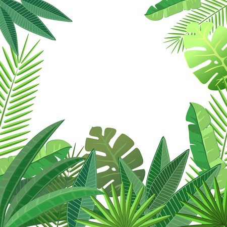 Tropical leaves. Floral design background.のイラスト素材