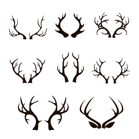 Vector deer antlers silhouette isolated on white.  Set of different antlers large, branched and acuteのイラスト素材
