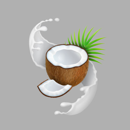 Coconut and milk splash. Natural fruit Realistic vector illustration.のイラスト素材