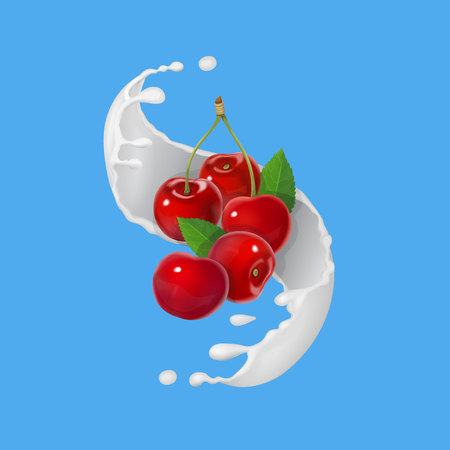 Red cherries fruits and milky splash. Vector illustrationのイラスト素材