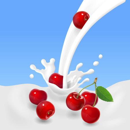 Red cherries falling into the milky splash or yogurt. Vector illustrationのイラスト素材