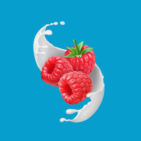 Raspberry fruits and milk splash. 3d icon realistic . Vector illustrationのイラスト素材