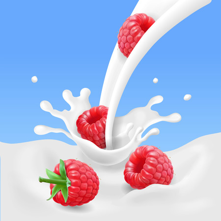 Red raspberry fruits and milk splash. 3d vector illustrationのイラスト素材