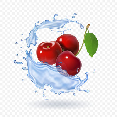 Cherry realistic fruit vector icon Fresh berry juiceのイラスト素材