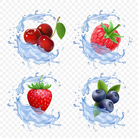 Forest berry juice. Realistic illustration of fruit fresh vector iconのイラスト素材