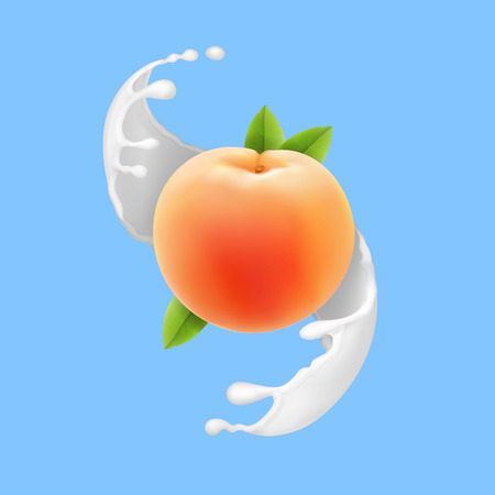 Peach in milk splash. Realistic fruit in yogurt vector icon illustration.のイラスト素材
