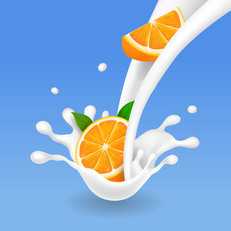 Orange fruits and milk splash. Realistic vectorのイラスト素材