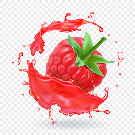 Raspberry in berry juice splash.のイラスト素材