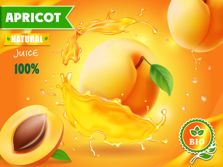 Apricot fruit in juice splash advertising poster. Vector illustration.のイラスト素材