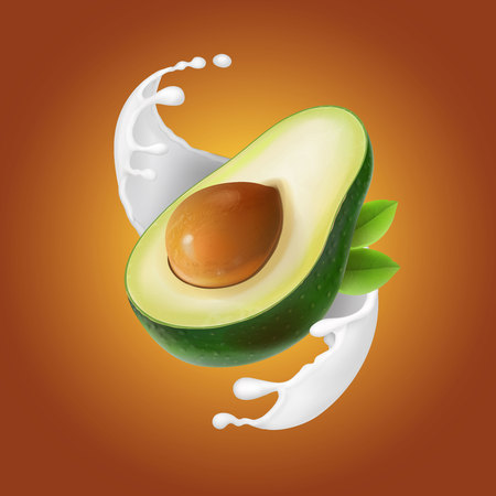 Milk splash with avocado fruitのイラスト素材