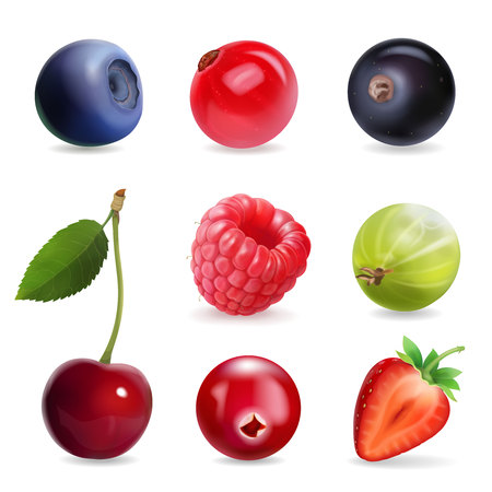 Sweet berries, vector illustration realistic setのイラスト素材