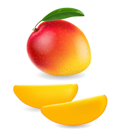 Realistic ripe mango slice. 3d illustrationのイラスト素材
